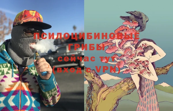 винт Абаза
