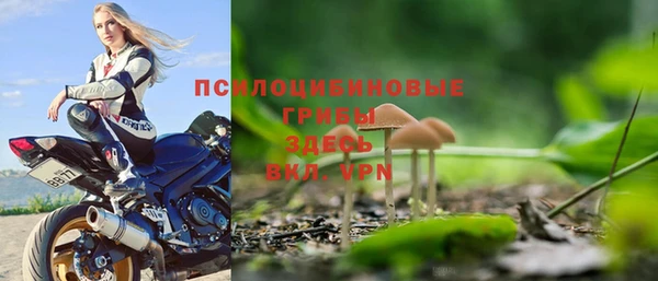 винт Абаза