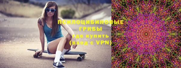 винт Абаза