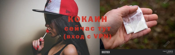 винт Абаза