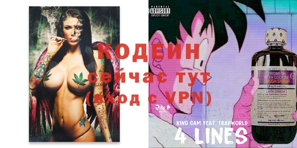 винт Абаза